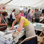 Art in Action 2015, Sue Brown